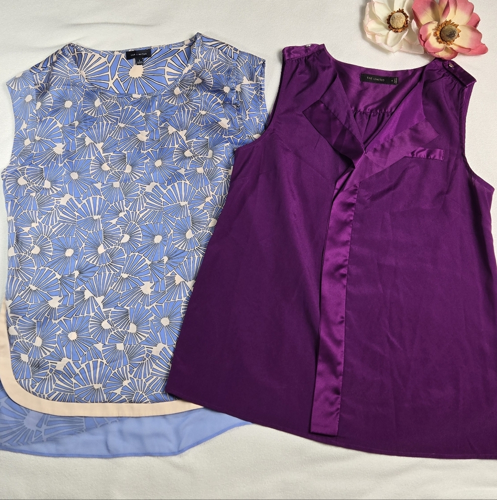 The Limited Bundle Of Two Blue And Purple Blouses, Size Small